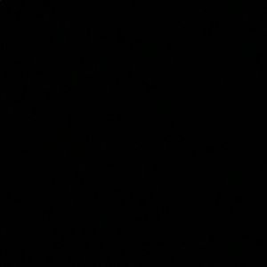 Meet your Posher, Briana